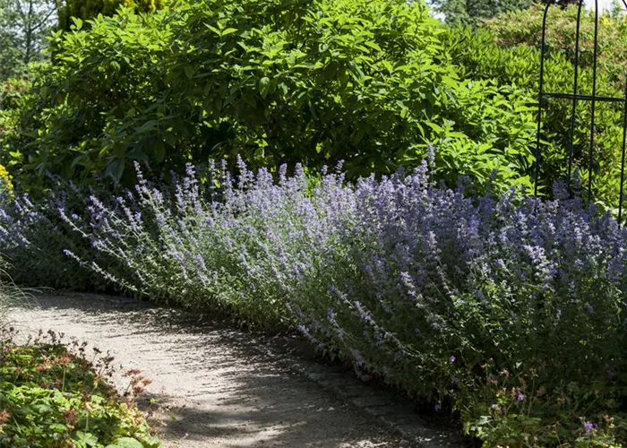 Sie sind bewegend! Wege, die durch den Garten führen. Sie sind bewegend! Wege, die durch den Garten führen.